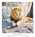 Animal Images